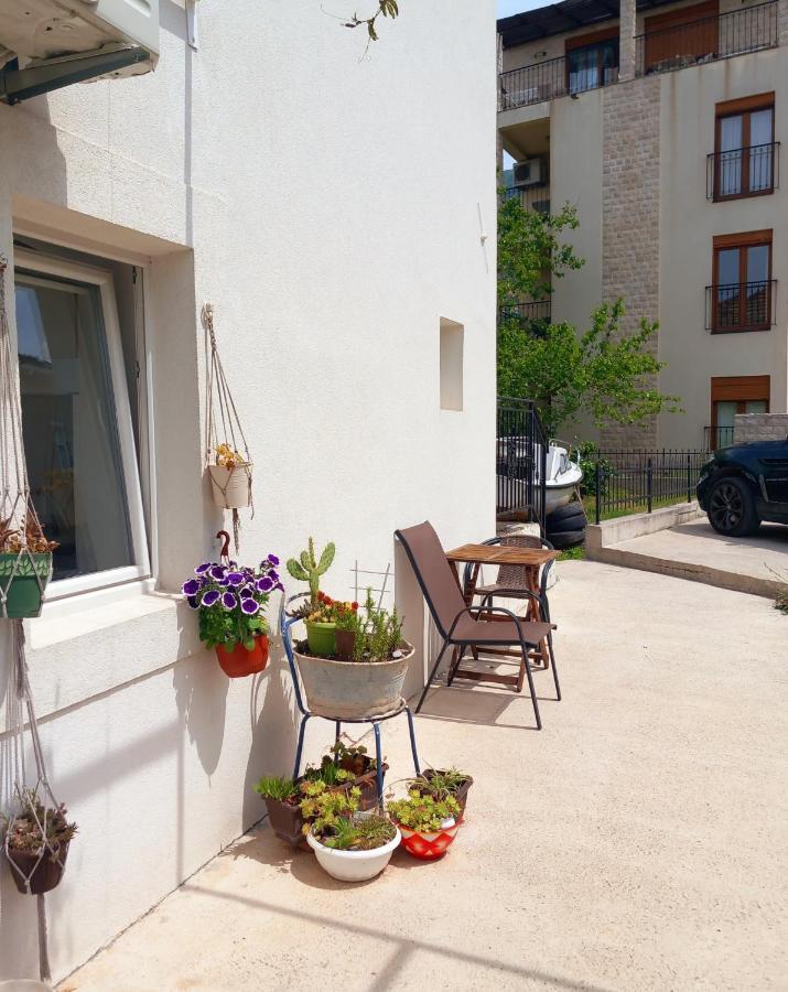Old Marine House Apartment Tivat Bagian luar foto